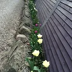 Lundsgaard Фоборг