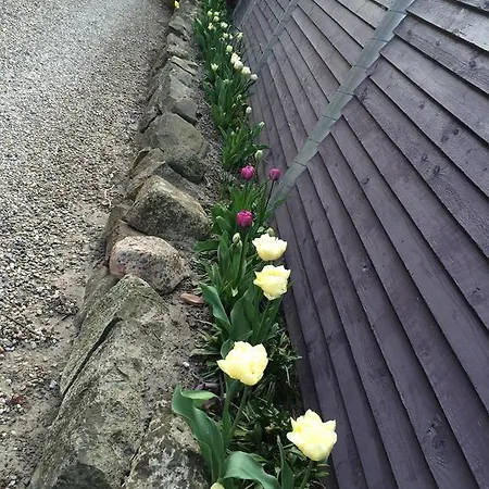 Lundsgaard فابورغ