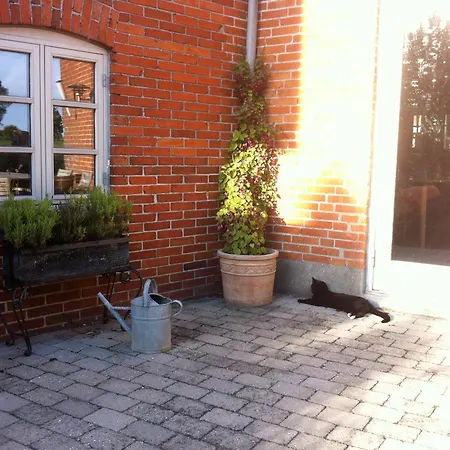 فندق مبيت وإفطار Lundsgaard